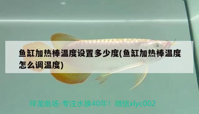 魚缸加熱棒溫度設置多少度(魚缸加熱棒溫度怎么調(diào)溫度)