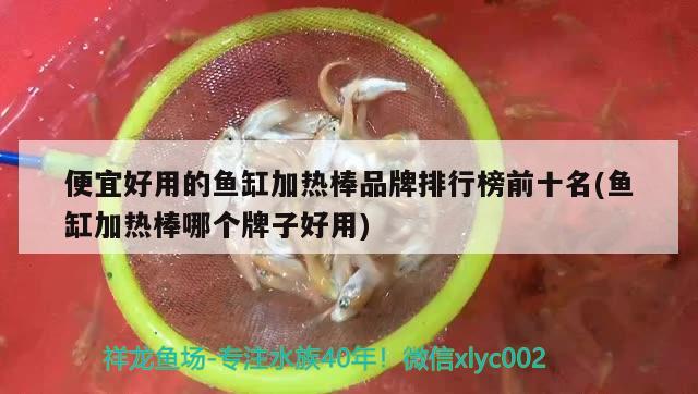 便宜好用的魚缸加熱棒品牌排行榜前十名(魚缸加熱棒哪個(gè)牌子好用) 月光鴨嘴魚 第1張