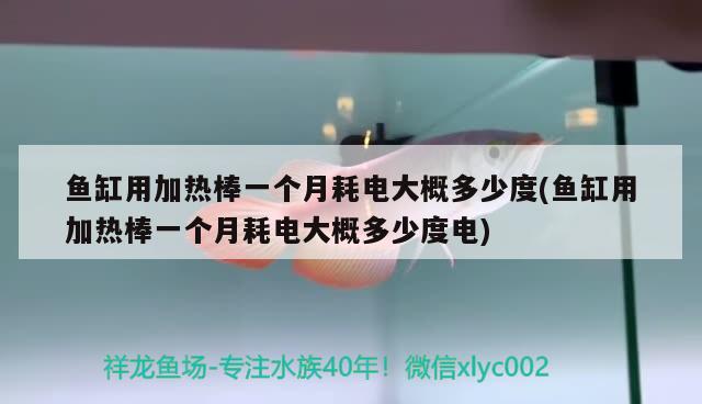 魚缸用加熱棒一個(gè)月耗電大概多少度(魚缸用加熱棒一個(gè)月耗電大概多少度電) 黑白雙星