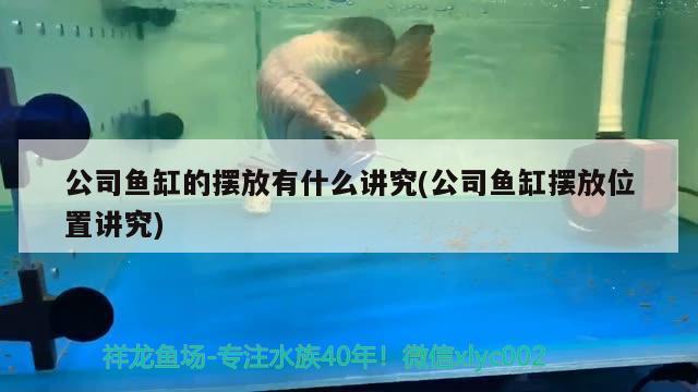 公司魚缸的擺放有什么講究(公司魚缸擺放位置講究) 泰龐海蓮魚