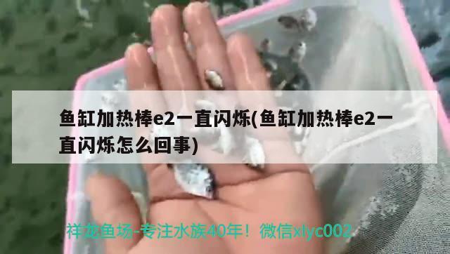 魚缸加熱棒e2一直閃爍(魚缸加熱棒e2一直閃爍怎么回事) 祥龍傳奇品牌魚缸