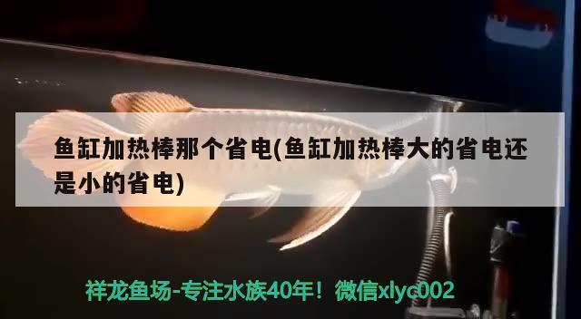 魚缸加熱棒那個省電(魚缸加熱棒大的省電還是小的省電)