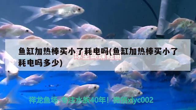 魚缸加熱棒買小了耗電嗎(魚缸加熱棒買小了耗電嗎多少) 翡翠鳳凰魚