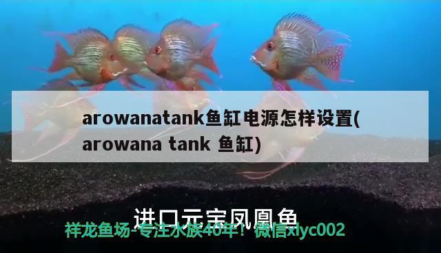 arowanatank魚缸電源怎樣設置(arowanatank魚缸)