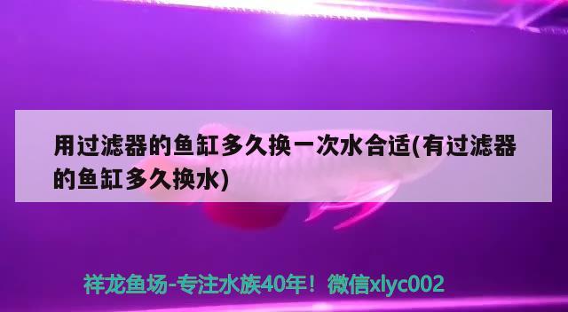 用過濾器的魚缸多久換一次水合適(有過濾器的魚缸多久換水) 古典過背金龍魚