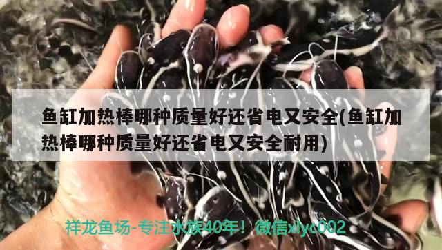 魚缸加熱棒哪種質(zhì)量好還省電又安全(魚缸加熱棒哪種質(zhì)量好還省電又安全耐用) 大湖紅龍魚