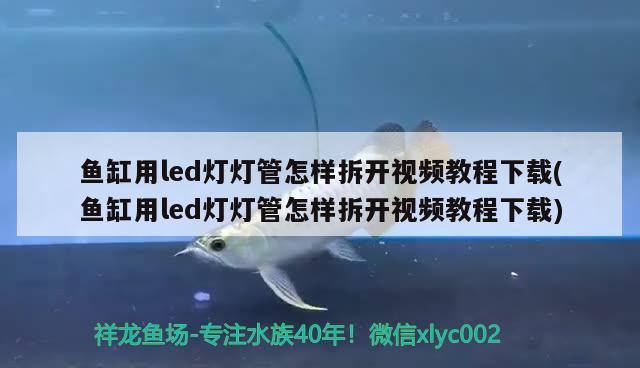 魚缸用led燈燈管怎樣拆開視頻教程下載(魚缸用led燈燈管怎樣拆開視頻教程下載)