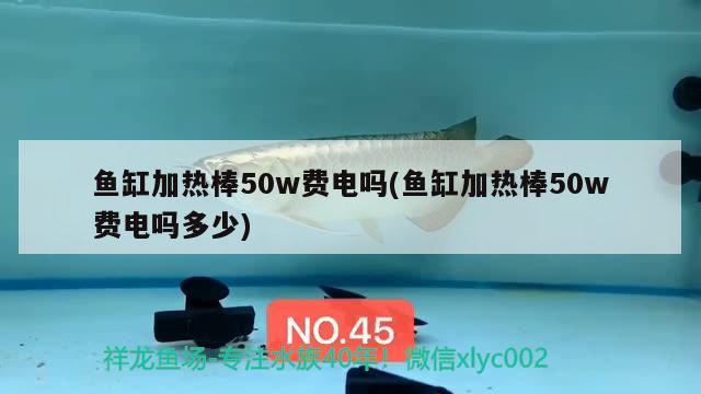 魚缸加熱棒50w費(fèi)電嗎(魚缸加熱棒50w費(fèi)電嗎多少)