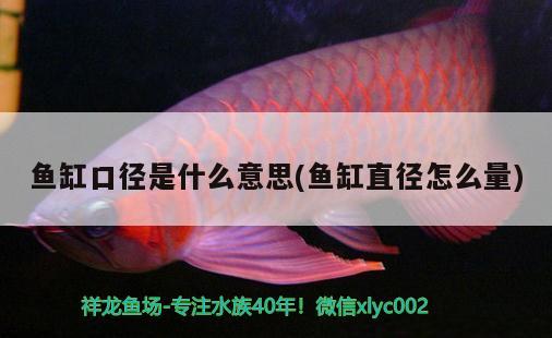 魚缸口徑是什么意思(魚缸直徑怎么量) 水族品牌