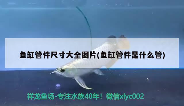 魚缸管件尺寸大全圖片(魚缸管件是什么管)