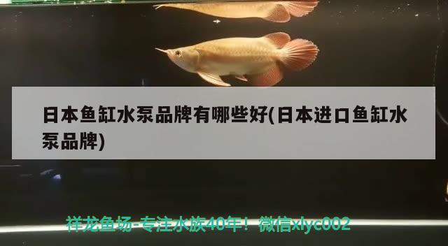 日本魚缸水泵品牌有哪些好(日本進(jìn)口魚缸水泵品牌) 魚缸水泵