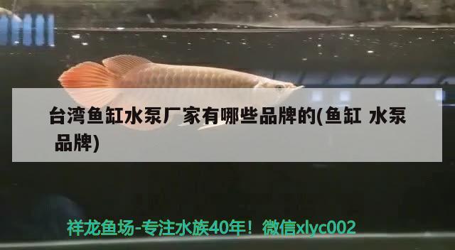 臺灣魚缸水泵廠家有哪些品牌的(魚缸水泵品牌)