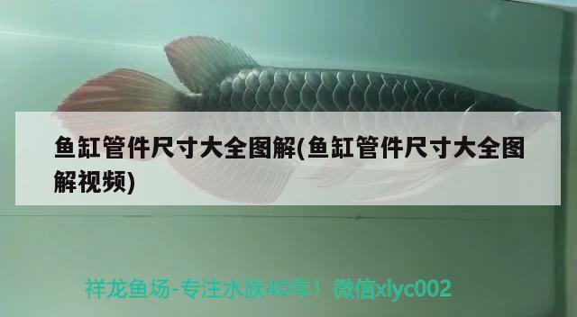 魚缸管件尺寸大全圖解(魚缸管件尺寸大全圖解視頻) 九鼎魚缸