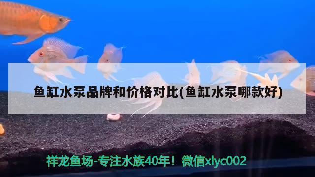 魚缸水泵品牌和價格對比(魚缸水泵哪款好)