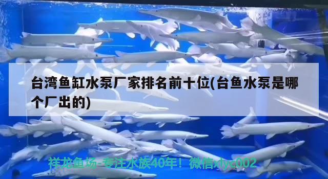 臺(tái)灣魚缸水泵廠家排名前十位(臺(tái)魚水泵是哪個(gè)廠出的)