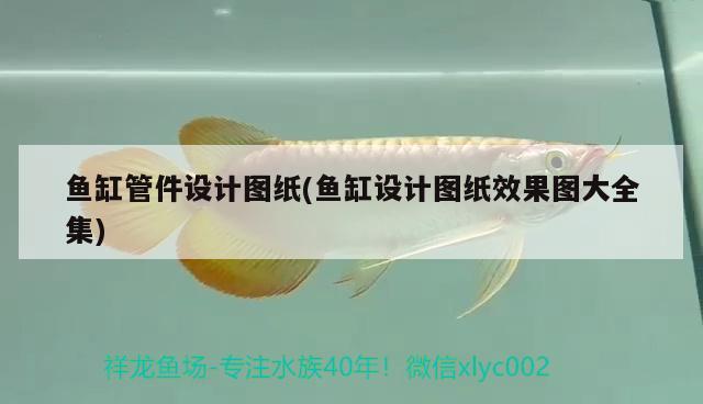 魚缸管件設(shè)計(jì)圖紙(魚缸設(shè)計(jì)圖紙效果圖大全集) 蝴蝶鯉魚苗