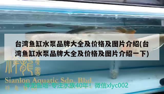 臺灣魚缸水泵品牌大全及價格及圖片介紹(臺灣魚缸水泵品牌大全及價格及圖片介紹一下) 魚缸水泵