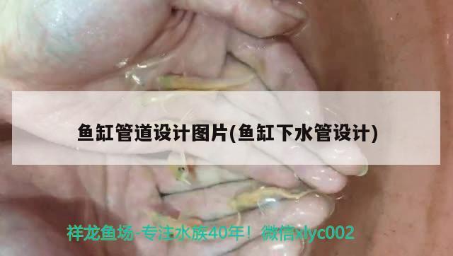 魚缸管道設計圖片(魚缸下水管設計)