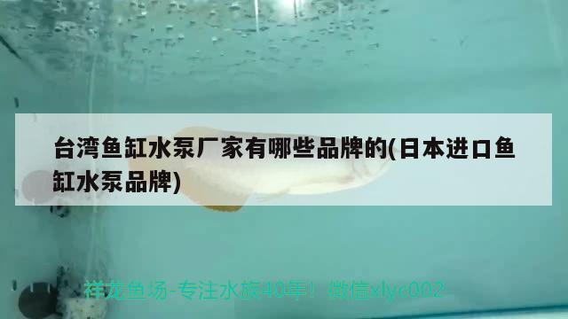 臺灣魚缸水泵廠家有哪些品牌的(日本進(jìn)口魚缸水泵品牌)