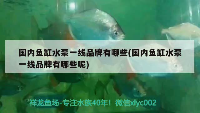 國內(nèi)魚缸水泵一線品牌有哪些(國內(nèi)魚缸水泵一線品牌有哪些呢) 魚缸水泵