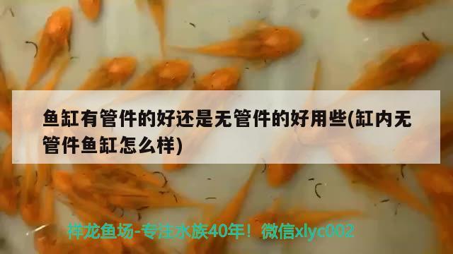 魚缸有管件的好還是無(wú)管件的好用些(缸內(nèi)無(wú)管件魚缸怎么樣)