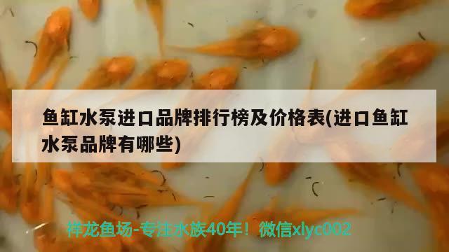 魚缸水泵進口品牌排行榜及價格表(進口魚缸水泵品牌有哪些) 魚缸水泵