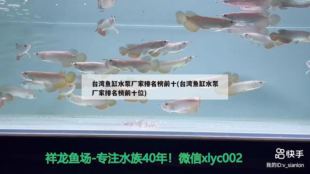 臺灣魚缸水泵廠家排名榜前十(臺灣魚缸水泵廠家排名榜前十位)