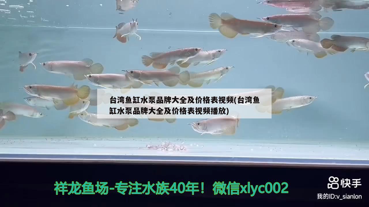 臺灣魚缸水泵品牌大全及價格表視頻(臺灣魚缸水泵品牌大全及價格表視頻播放)