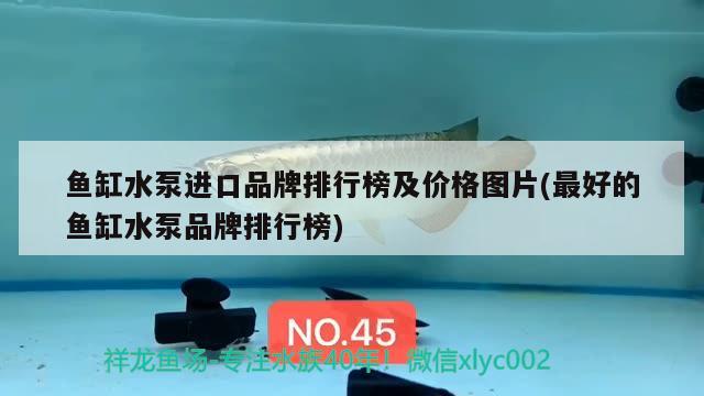 魚缸水泵進(jìn)口品牌排行榜及價(jià)格圖片(最好的魚缸水泵品牌排行榜)