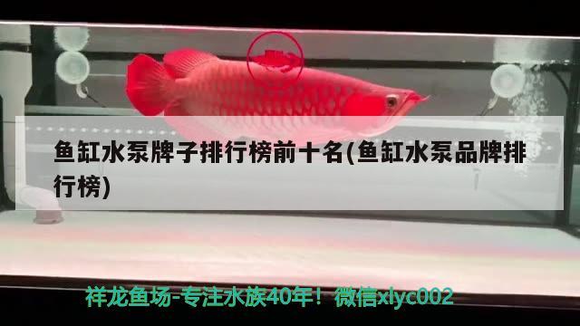 魚缸水泵牌子排行榜前十名(魚缸水泵品牌排行榜) 魚缸水泵