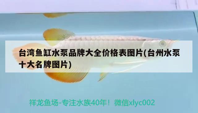 臺灣魚缸水泵品牌大全價格表圖片(臺州水泵十大名牌圖片) 魚缸水泵