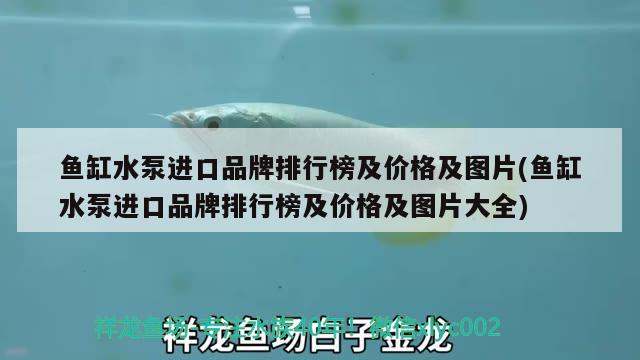 魚缸水泵進口品牌排行榜及價格及圖片(魚缸水泵進口品牌排行榜及價格及圖片大全) 魚缸水泵