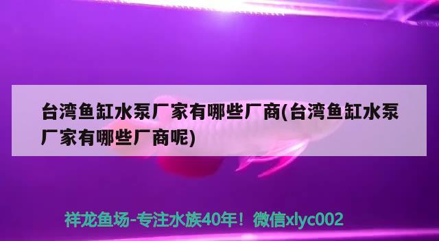 臺灣魚缸水泵廠家有哪些廠商(臺灣魚缸水泵廠家有哪些廠商呢)