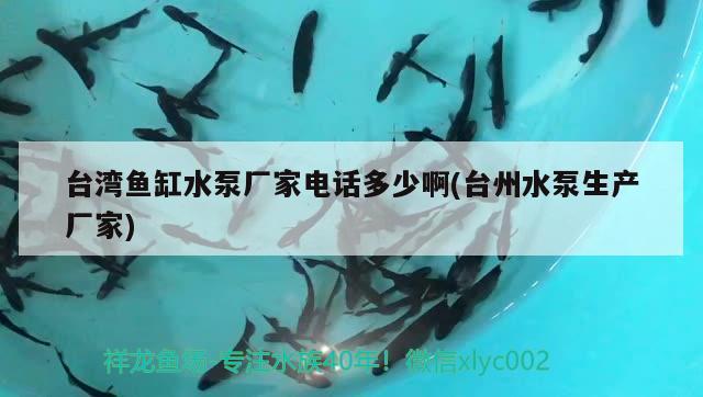 臺(tái)灣魚(yú)缸水泵廠家電話多少啊(臺(tái)州水泵生產(chǎn)廠家)