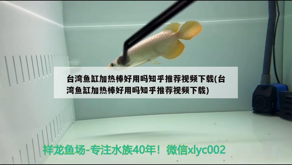 臺灣魚缸加熱棒好用嗎知乎推薦視頻下載(臺灣魚缸加熱棒好用嗎知乎推薦視頻下載)