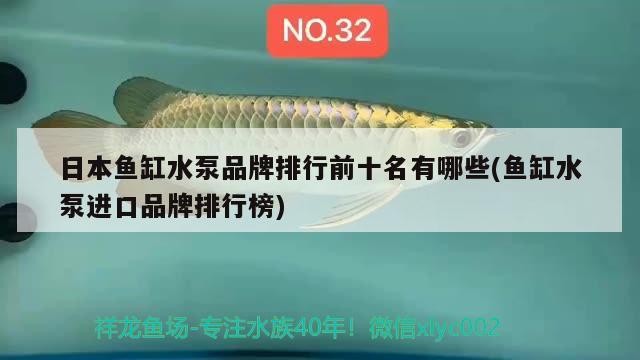 日本魚缸水泵品牌排行前十名有哪些(魚缸水泵進(jìn)口品牌排行榜)