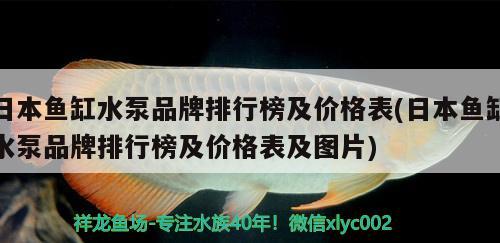 日本魚缸水泵品牌排行榜及價格表(日本魚缸水泵品牌排行榜及價格表及圖片)