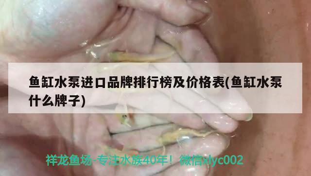 魚缸水泵進口品牌排行榜及價格表(魚缸水泵什么牌子) 魚缸水泵