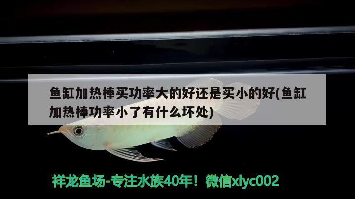 魚(yú)缸加熱棒買(mǎi)功率大的好還是買(mǎi)小的好(魚(yú)缸加熱棒功率小了有什么壞處)