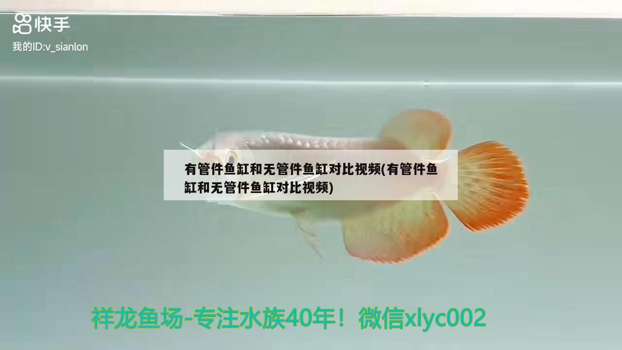 有管件魚缸和無管件魚缸對比視頻(有管件魚缸和無管件魚缸對比視頻)