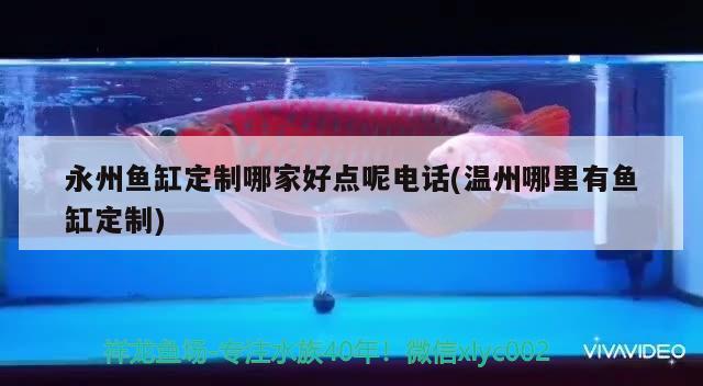 永州魚缸定制哪家好點呢電話(溫州哪里有魚缸定制) 廣州水族器材濾材批發(fā)市場