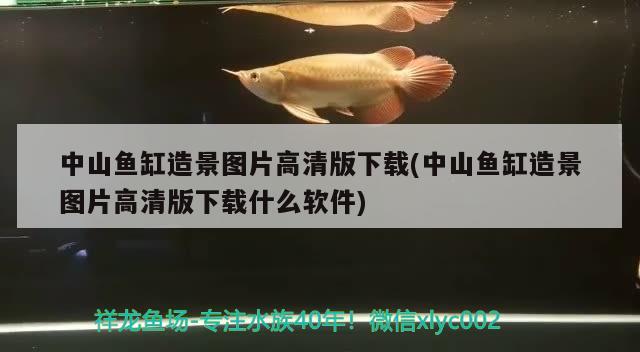 中山魚缸造景圖片高清版下載(中山魚缸造景圖片高清版下載什么軟件)