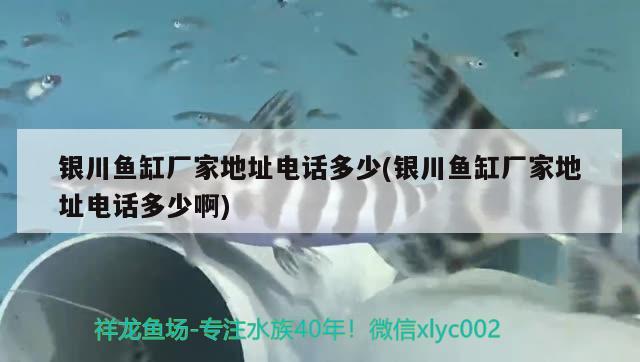 銀川魚缸廠家地址電話多少(銀川魚缸廠家地址電話多少啊) 綠皮辣椒小紅龍