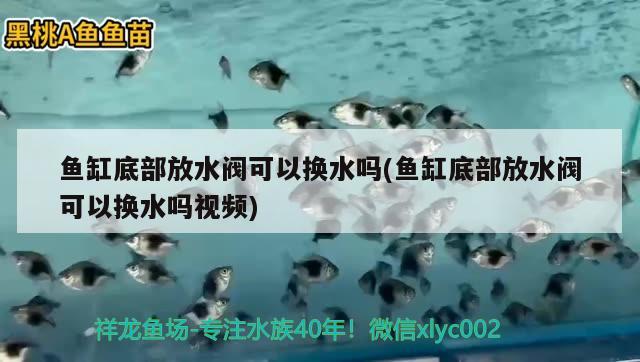 魚缸底部放水閥可以換水嗎(魚缸底部放水閥可以換水嗎視頻) 馬拉莫寶石魚苗