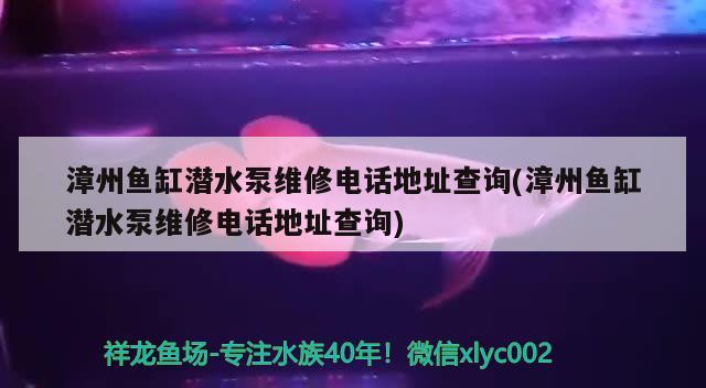 漳州魚缸潛水泵維修電話地址查詢(漳州魚缸潛水泵維修電話地址查詢) 七彩神仙魚