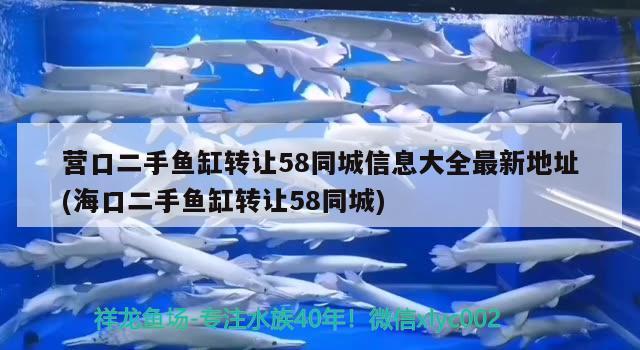 營口二手魚缸轉(zhuǎn)讓58同城信息大全最新地址(?？诙拄~缸轉(zhuǎn)讓58同城) 印尼虎苗