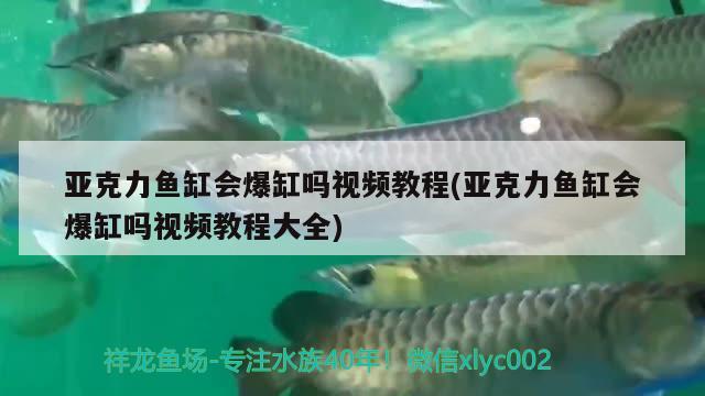 亞克力魚缸會爆缸嗎視頻教程(亞克力魚缸會爆缸嗎視頻教程大全)