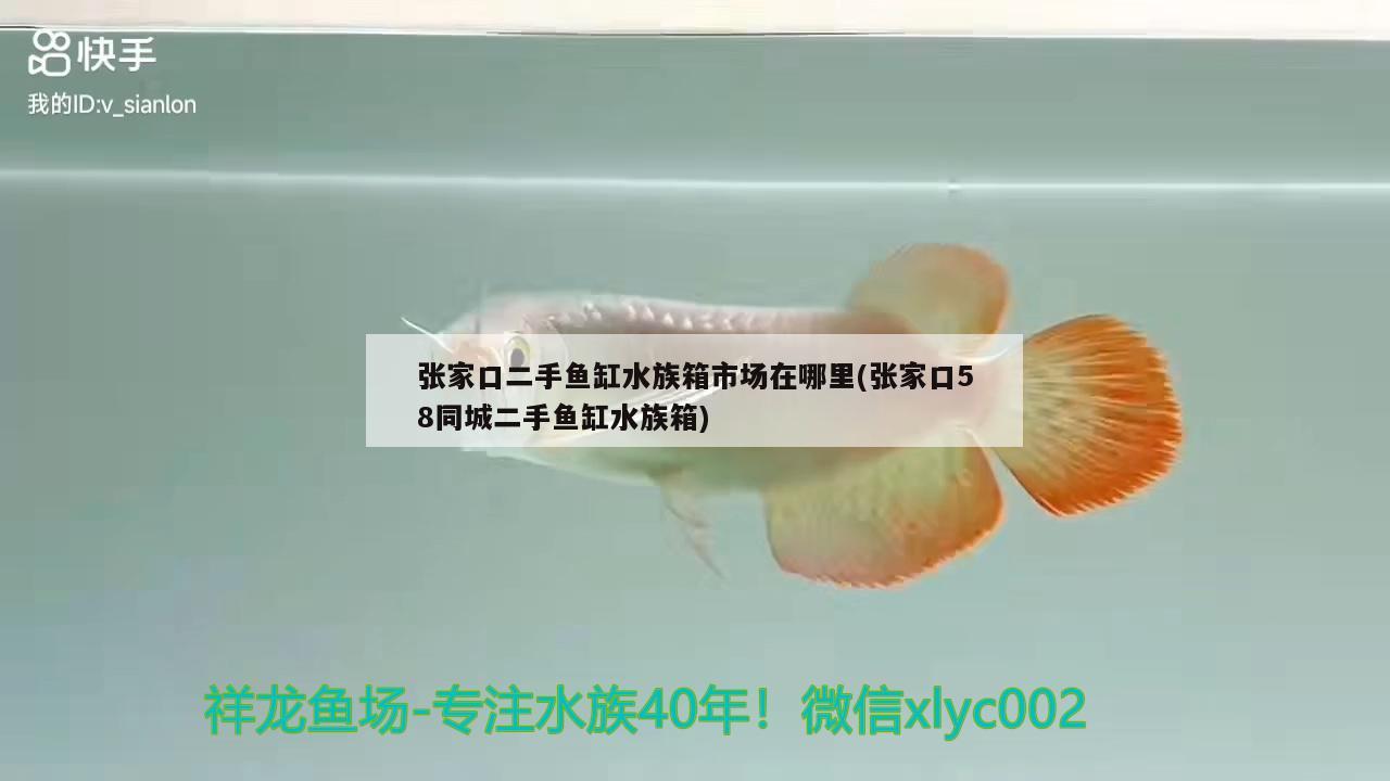 張家口二手魚缸水族箱市場在哪里(張家口58同城二手魚缸水族箱) 魚缸/水族箱