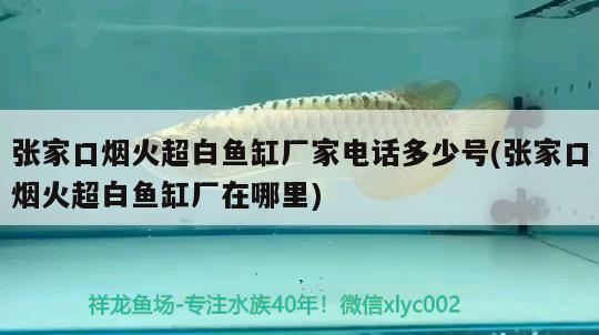 張家口煙火超白魚缸廠家電話多少號(張家口煙火超白魚缸廠在哪里)