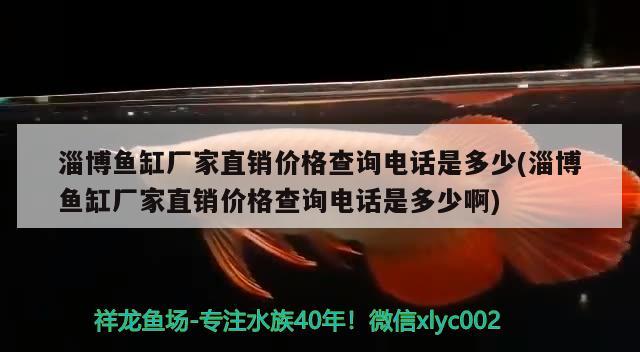 淄博魚缸廠家直銷價格查詢電話是多少(淄博魚缸廠家直銷價格查詢電話是多少啊) 飛鳳魚